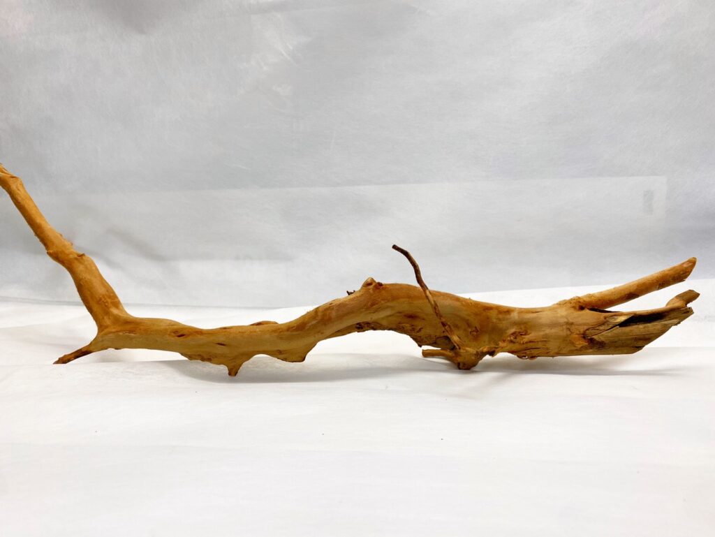 bagusstyle ONLINE STORE