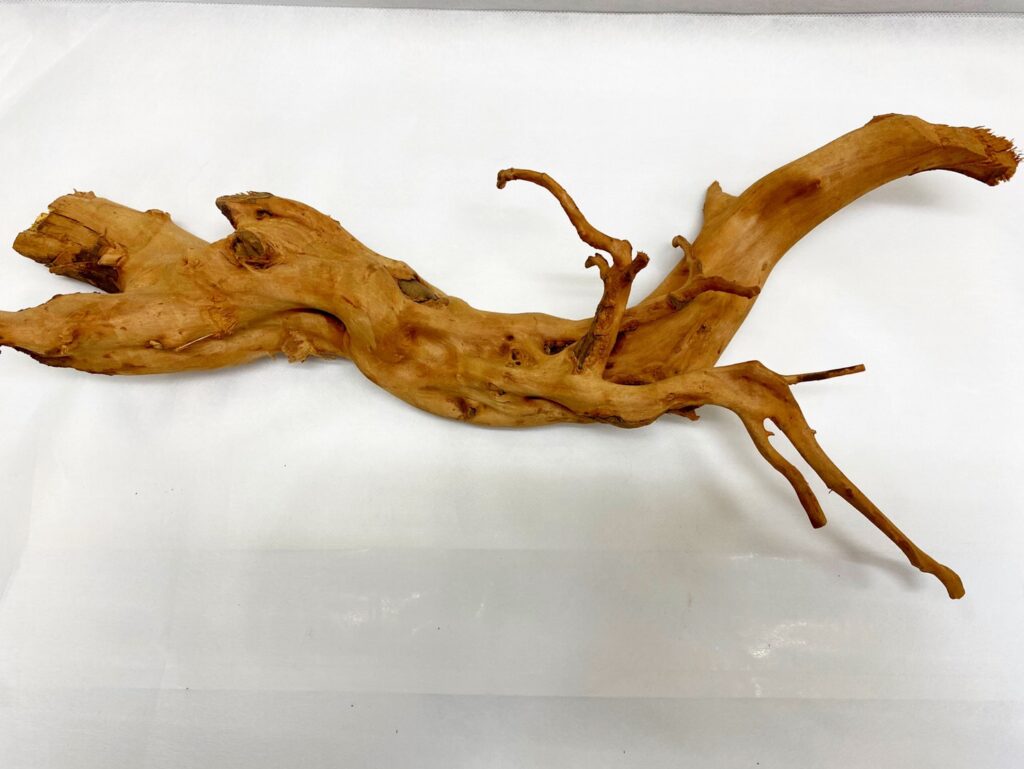 bagusstyle ONLINE STORE